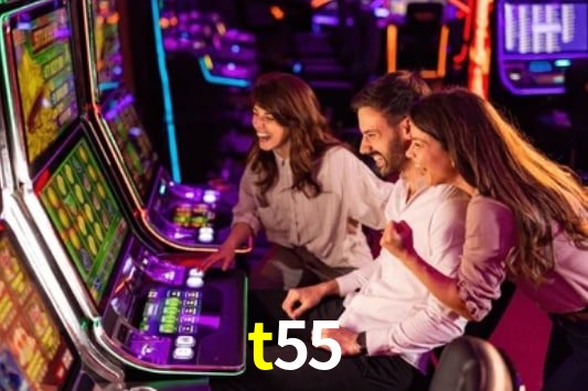 Interface Premium t55